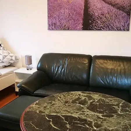 Apartment Am Suedpark